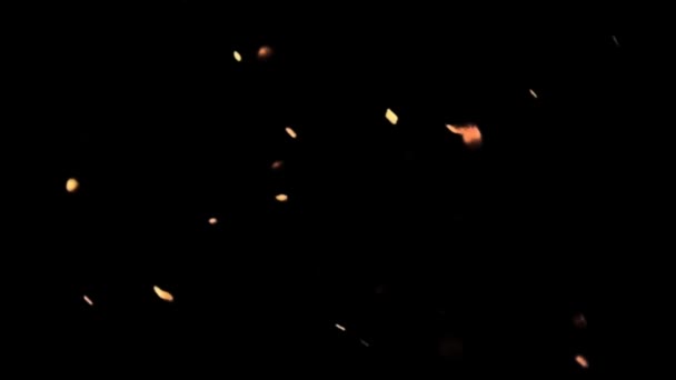 Fire Sparks Embers Partikel Pada Black Background Stock Footage — Stok Video