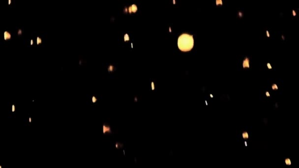 Fuoco Scintille Embers Particella Sfondo Nero Stock Footage — Video Stock