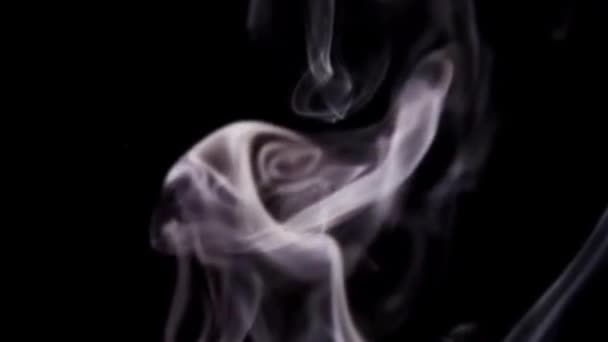 Smokey Tle Animacji Zapasów Wideo — Wideo stockowe