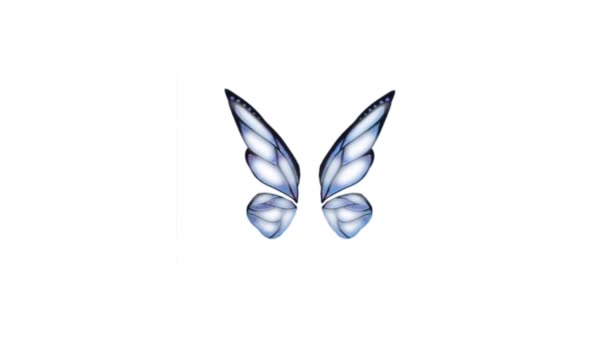 彩色蝴蝶翅膀在白色背景下的4K动画画面 3D蝴蝶股票录影带 — 图库视频影像