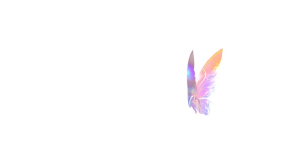 Colorful Butterfly Wings White Background Animation Stock Footage Dalam Bahasa — Stok Video