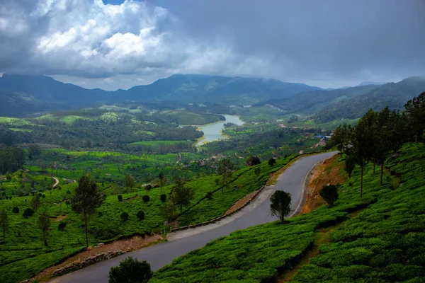 Плантация Чая Муннар Лучшие Чайные Заводы Munnar Керала Индия — стоковое фото