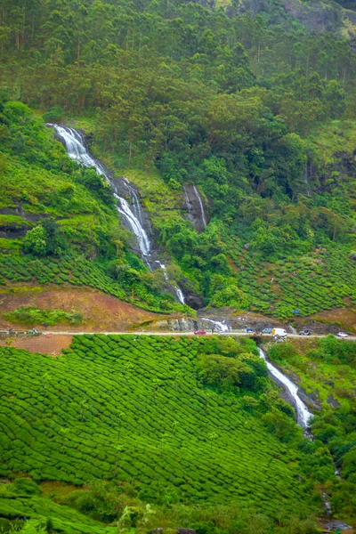 Водопад Чаканель Видом Чайную Плантацию Муннар Лучшие Чайные Заводы Munnar — стоковое фото