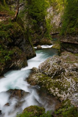 vintgar gorge Slovenya