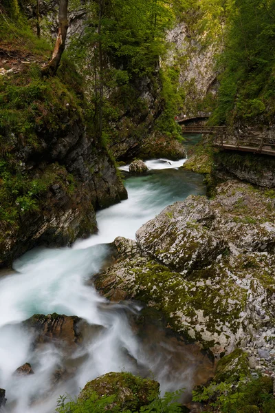 Gola di Vintgar in Slovenia Fotografia Stock