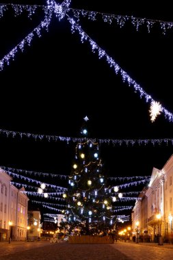 Noel ağacı Tartu, Estonya
