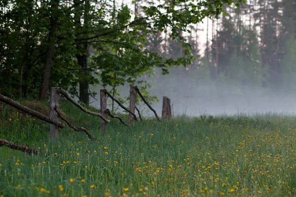 Misty farmland — Stock Photo, Image