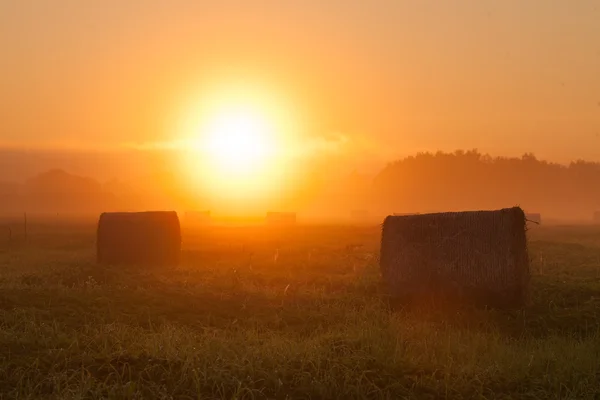 Východ slunce v zemědělské půdy — Stock fotografie