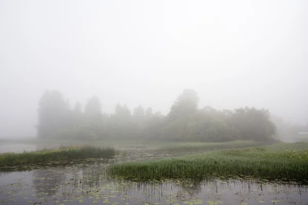 Mistige ochtend op meer — Stockfoto