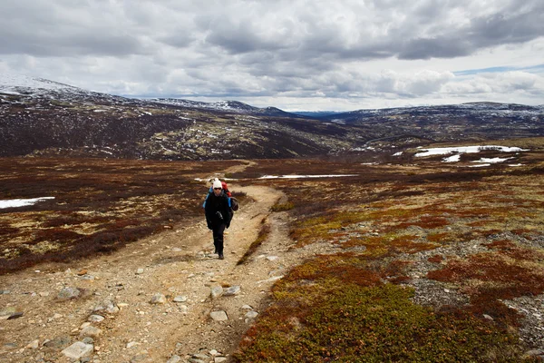 Female hiker Stock Image