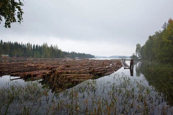 Log boom floating in lake — Stock Photo, Image