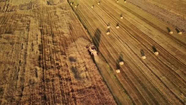 Sklizeň, proces sběru zralých plodin (obilovin) během letního západu slunce z polí. Sklizeň žita, pšenice, ovsa ječmene nebo kukuřice. Farmářský kombajn kombinuje strniště. Zobrazení leteckých dronů.