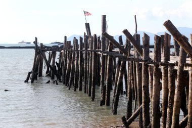 Eski ahşap köprüden denize