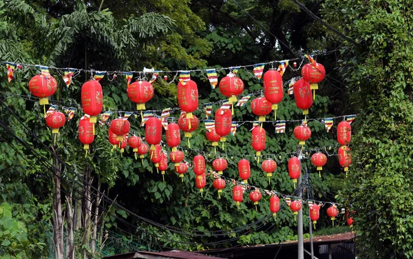 Eine Rote Chinesische Laterne Steht Auf Einem Grünen Baum Malaysia — Stockfoto