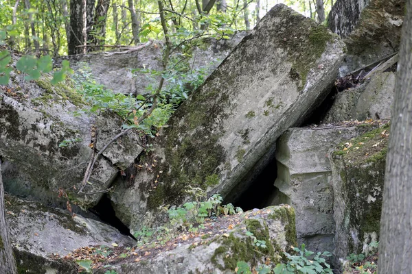 Militärbunker Wald Kreis Kaunas Vaisvydav — Stockfoto