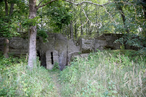 Bunker Militar Bosque Ww2 Condado Kaunas Vaisvydav — Foto de Stock