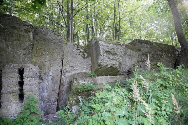 Vojenský Bunkr Lese Války Okres Kaunas Vaisvydav — Stock fotografie