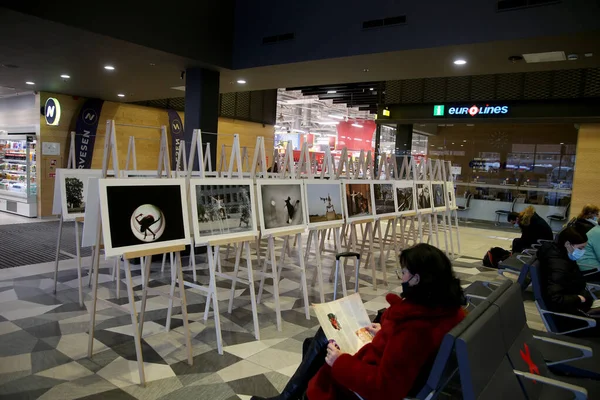 Cuando Cerraron Galerías Salas Exposiciones Durante Pandemia Fotoperiodista Algimantas Barzdzius — Foto de Stock