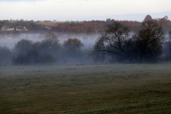 Осінній Краєвид Литви Рано Вранці Луками Туманом — стокове фото