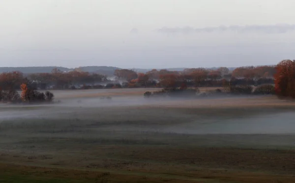 Herfstlandschap Litouwen Vroege Ochtend Met Weiden Mist — Stockfoto