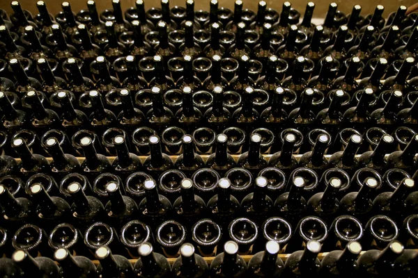 Basement Rack Lots Dusty Wine Bottles Sparkling Wine Production Technology — Stock Photo, Image