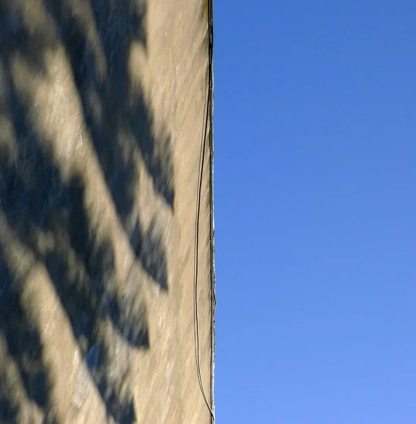 Koncepcja Cienia Drzewa Śmierć Czas Beton Ściana Teksturowane Tło Powierzchnia — Zdjęcie stockowe