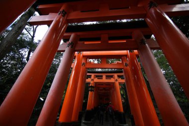 Fushimi inari taisha 'daki kırmızı torii geçidi Kyoto, Japonya 11: 14 2019' daki turistlerin ilgi çekici yerlerinden biri.