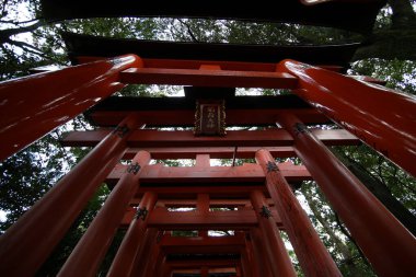 Fushimi inari taisha 'daki kırmızı torii geçidi Kyoto, Japonya 11: 14 2019' daki turistlerin ilgi çekici yerlerinden biri.