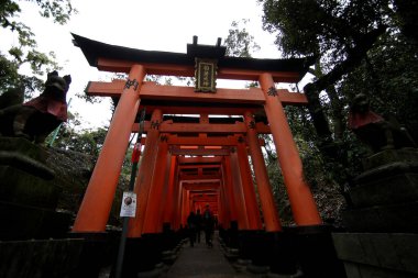 Fushimi inari taisha 'daki kırmızı torii geçidi Kyoto, Japonya 11: 14 2019' daki turistlerin ilgi çekici yerlerinden biri.