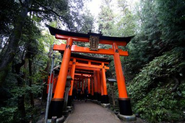 Fushimi inari taisha 'daki kırmızı torii geçidi Kyoto, Japonya 11: 14 2019' daki turistlerin ilgi çekici yerlerinden biri.