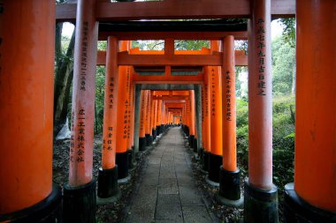 Fushimi inari taisha 'daki kırmızı torii geçidi Kyoto, Japonya 11: 14 2019' daki turistlerin ilgi çekici yerlerinden biri.