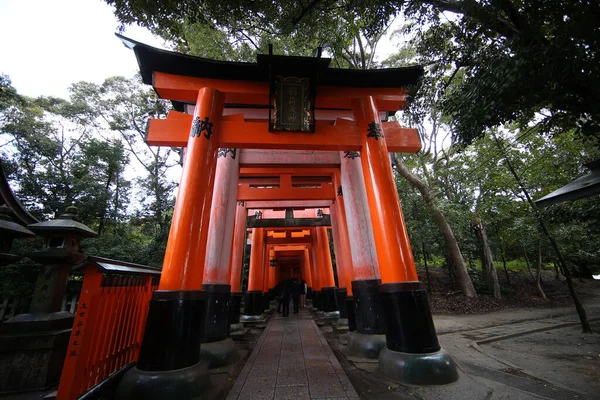 Camino Rojo Torii Puertas Pasarela Fushimi Inari Taisha Santuario Lugares — Foto de Stock