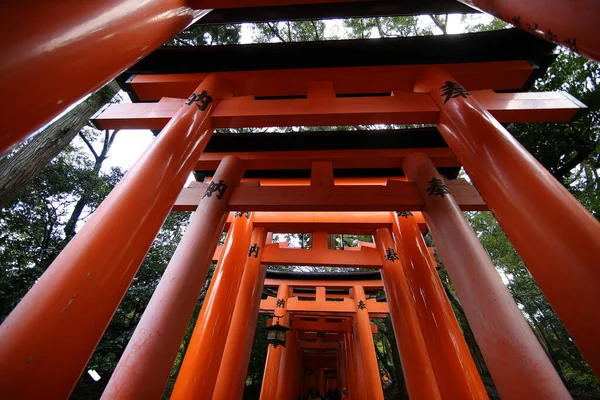 Camino Rojo Torii Puertas Pasarela Fushimi Inari Taisha Santuario Lugares — Foto de Stock