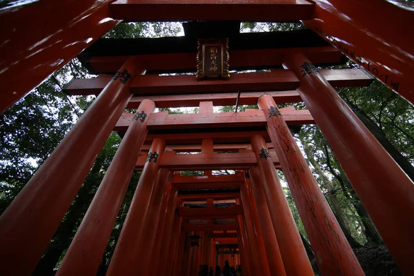 伏見稲荷大社の赤い鳥居遊歩道は 2019年11月14日京都の観光名所の一つです — ストック写真