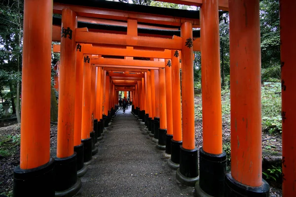 Camino Rojo Torii Puertas Pasarela Fushimi Inari Taisha Santuario Lugares — Foto de Stock