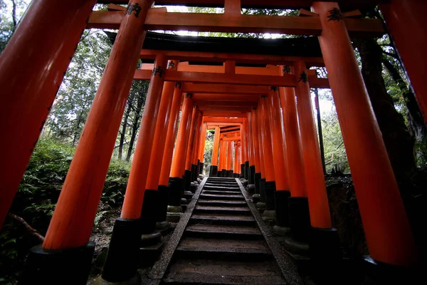 Piros Torii Kapuk Gyalogút Ösvény Fushimi Inari Taisha Szentély Egyik — Stock Fotó