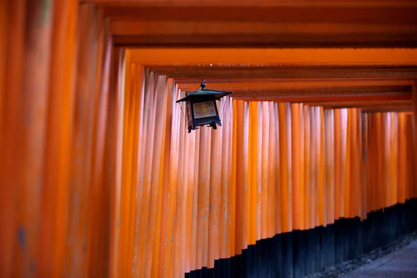 Rode Torii Poorten Looppad Bij Fushimi Inari Taisha Heiligdom Een — Stockfoto