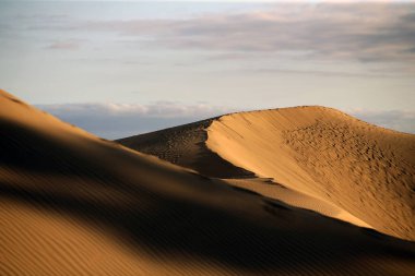 İspanya 'nın Kanarya Adaları' ndaki Corralejo kumulları Fuerteventura Çölü