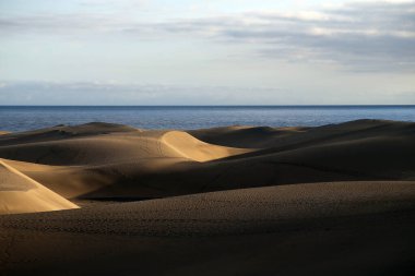 İspanya 'nın Kanarya Adaları' ndaki Corralejo kumulları Fuerteventura Çölü