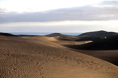 İspanya 'nın Kanarya Adaları' ndaki Corralejo kumulları Fuerteventura Çölü