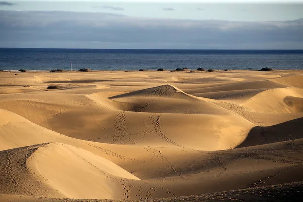 Dunas Corralejo Desierto Fuerteventura Islas Canarias España —  Fotos de Stock