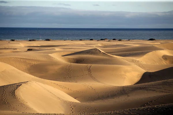 Dunas Corralejo Deserto Fuerteventura Nas Ilhas Canárias Espanha — Fotografia de Stock