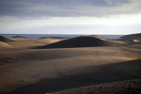 Dunas Corralejo Deserto Fuerteventura Nas Ilhas Canárias Espanha — Fotografia de Stock