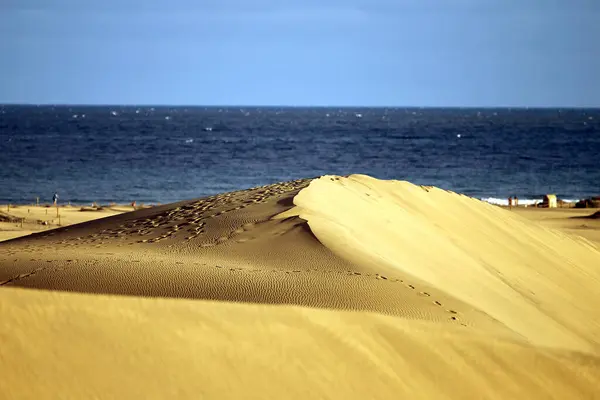 Corralejo Sanddyner Fuerteventura Öken Kanarieöarna Spanien — Stockfoto