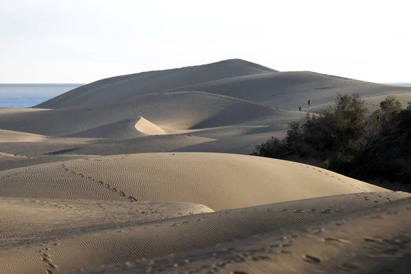 Dunas Corralejo Deserto Fuerteventura Nas Ilhas Canárias Espanha — Fotografia de Stock