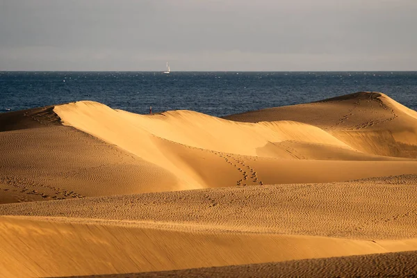 Corralejo Sanddyner Fuerteventura Öken Kanarieöarna Spanien — Stockfoto