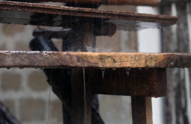 Sazlık çatıda tropik yağmur damlaları