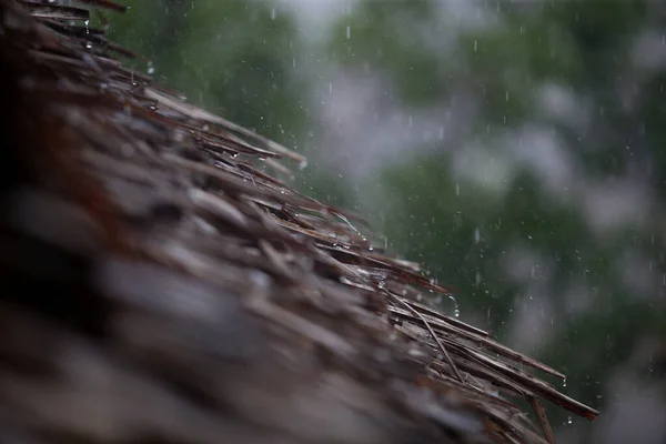 Tropical Raindrops Reed Roof — Stock Photo, Image