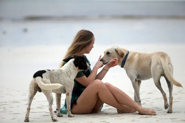 Deniz Kıyısında Genç Bir Köpekle Oturan Güzel Bir Kadının Portresi — Stok fotoğraf