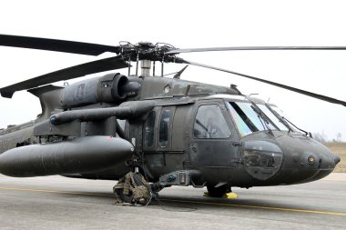 UH-60 Kara Şahin Helikopterleri, Karmelava Havaalanı, Litvanya 25. 03 2021